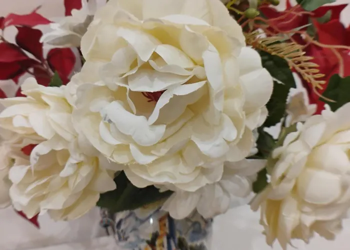 Casa Maura - 2 Passi Nella Storia Janov